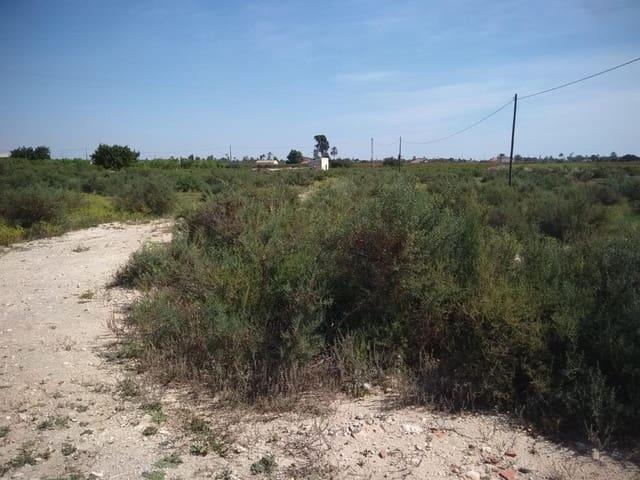 Terreno en venta en Elche, el Raval de Santa Teresa