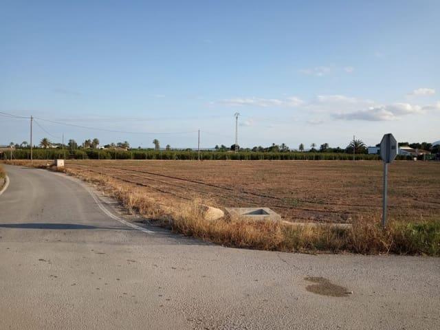 Terreno en venta en el Raval de Santa Teresa, el Baix Vinalopó