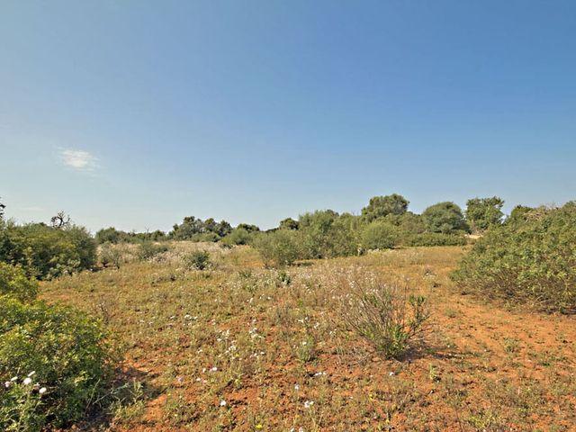 Terreno en venta en es Llombards, Santanyí
