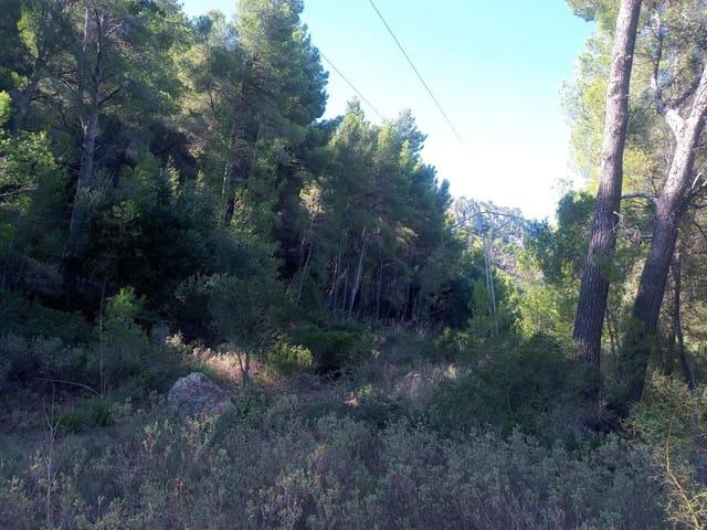 Terreno en venta en Serra de Tramuntana, Baleares