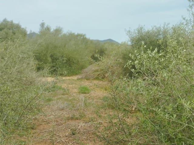 Terreno en venta en Migjorn, Baleares
