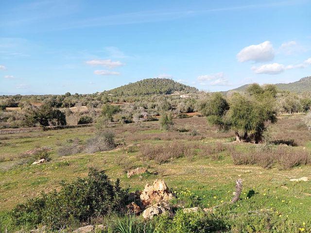 Terreno en venta en Felanitx, Illes Balears
