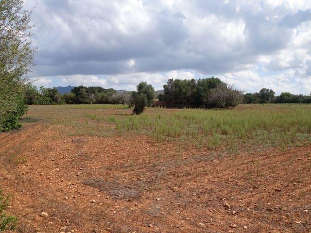 Terreno en venta en Migjorn, Baleares