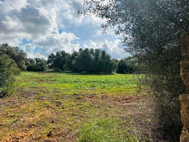 Terreno en venta en Migjorn, Baleares