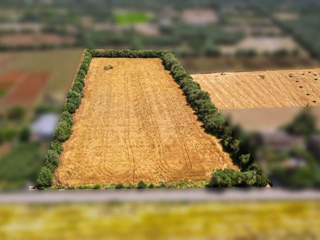Terreno en venta en Migjorn, Baleares
