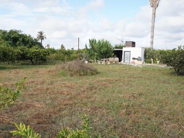 Terreno en venta en Formentera Del Segura, Los Palacios