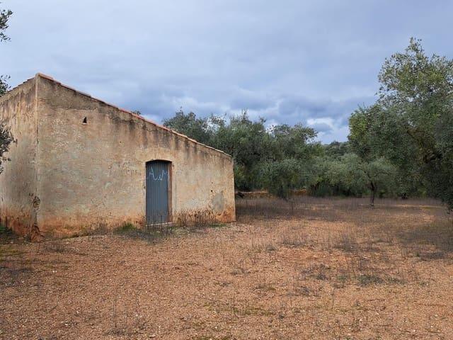 Terreno en venta en Montsià, Catalunya