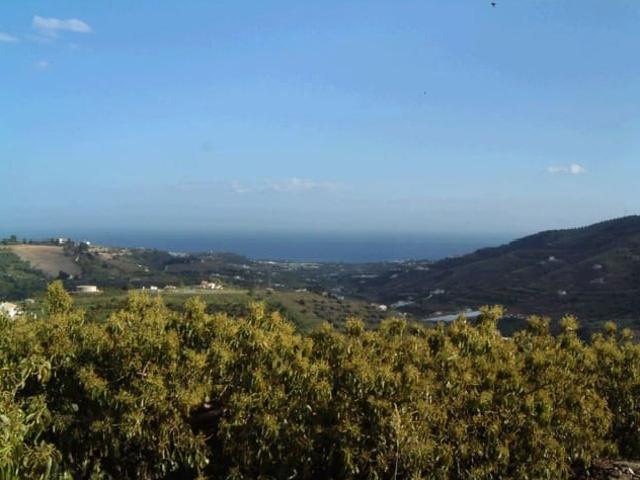 Terreno en venta en Frigiliana