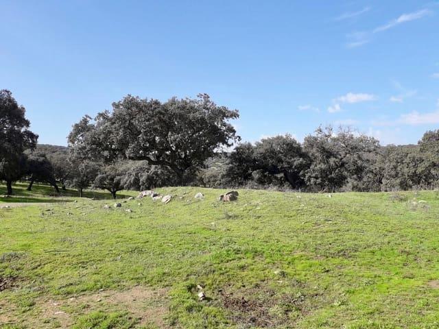 Terreno en venta en Fuente Obejuna, Andalucía