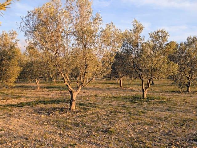 Casa Rural en venta en Terra Alta, Catalunya