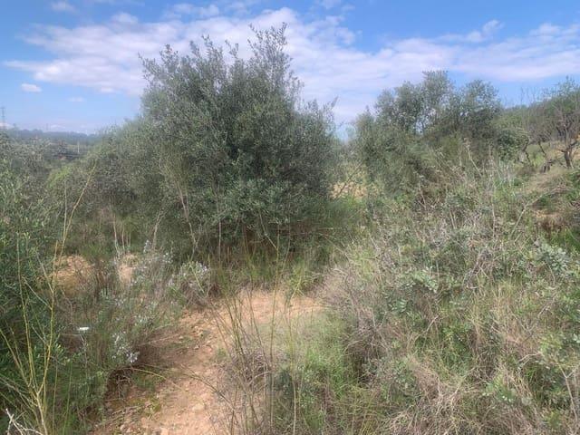 Terreno en venta en Ribera d'Ebre, Catalunya