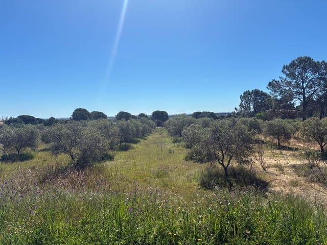 Terreno en venta en Comarca Metropolitana de Huelva, Andalucía