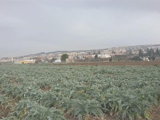 Terreno en venta en Centro, Comarca de la Vega de Granada