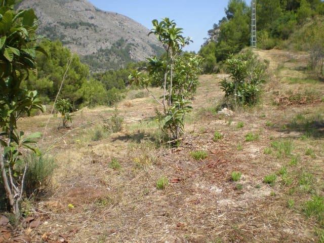 Terreno en venta en la Marina Baixa, Valencia
