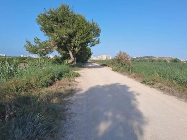 Terreno en venta en el Baix Segura / La Vega Baja, Valencia