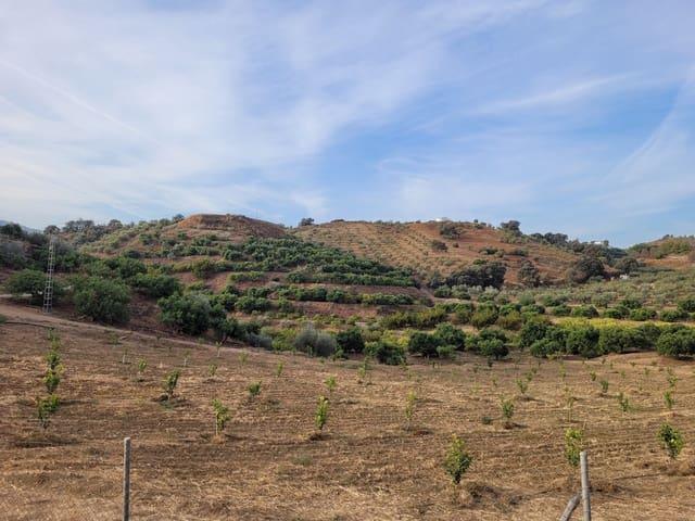 Terreno en venta en Guaro