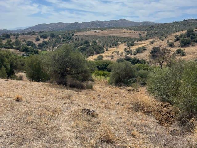Terreno en venta en Guaro