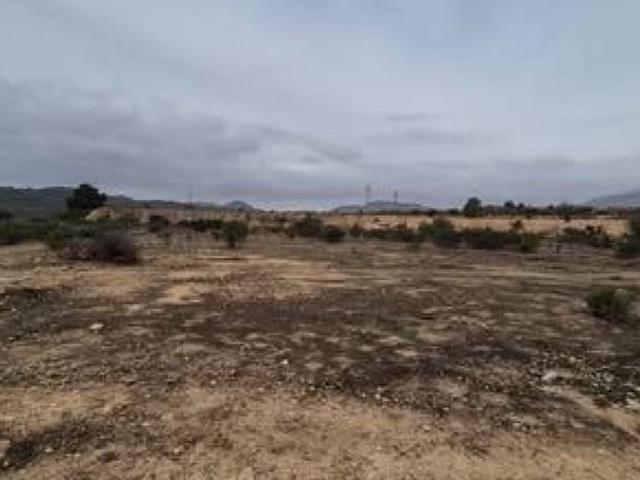 Terreno en venta en Polígono Industrial Bajo Sombra, Hondón De Las Nieves