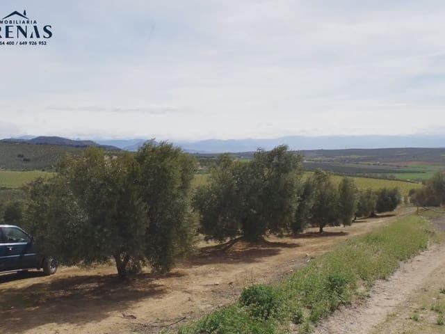 Terreno en venta en Comarca de Loja, Andalucía