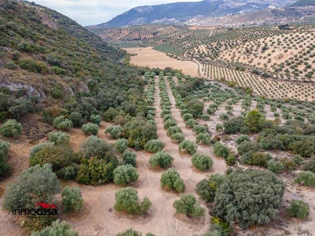 Terreno en venta en Comarca de Loja, Andalucía