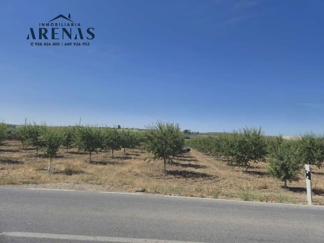 Terreno en venta en Comarca de Loja, Andalucía