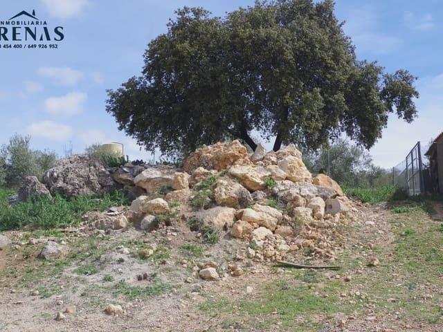 Terreno en venta en Comarca de Loja, Andalucía