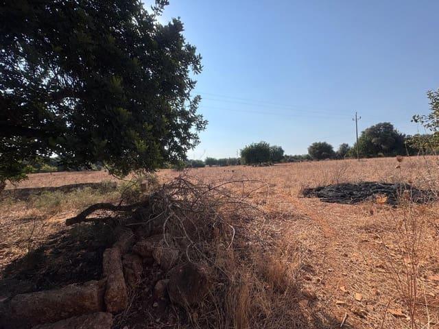 Terreno en venta en Crist Rei, Raiguer