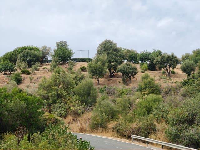 Terreno en venta en Sierra de las Nieves, Andalucía