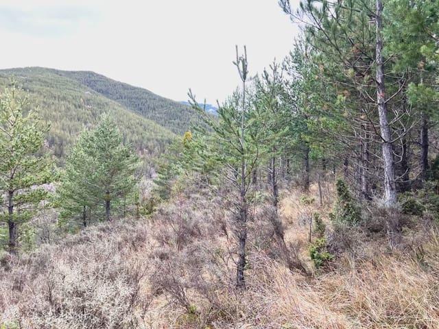 Terreno en venta en La Jacetania, Aragón