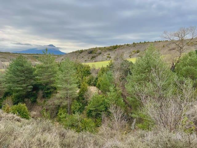 Terreno en venta en La Jacetania, Aragón