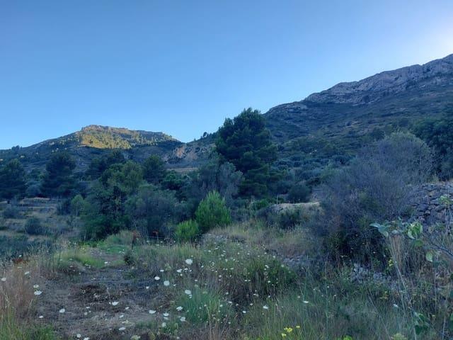 Terreno en venta en la Marina Alta, Valencia