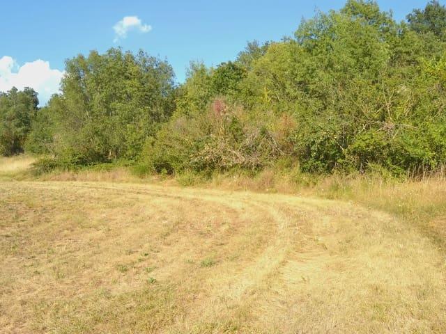 Terreno en venta en La Jacetania, Aragón
