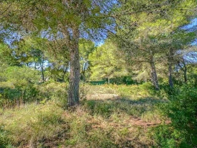 Terreno en venta en la Marina Alta, Valencia