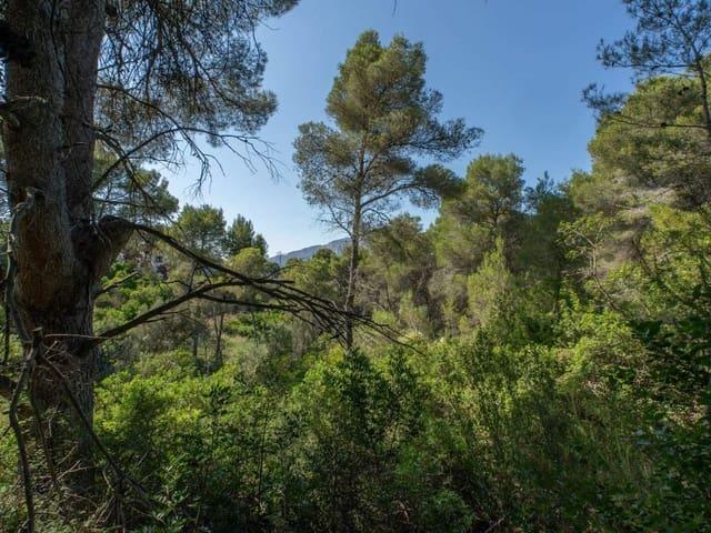 Terreno en venta en la Marina Alta, Valencia