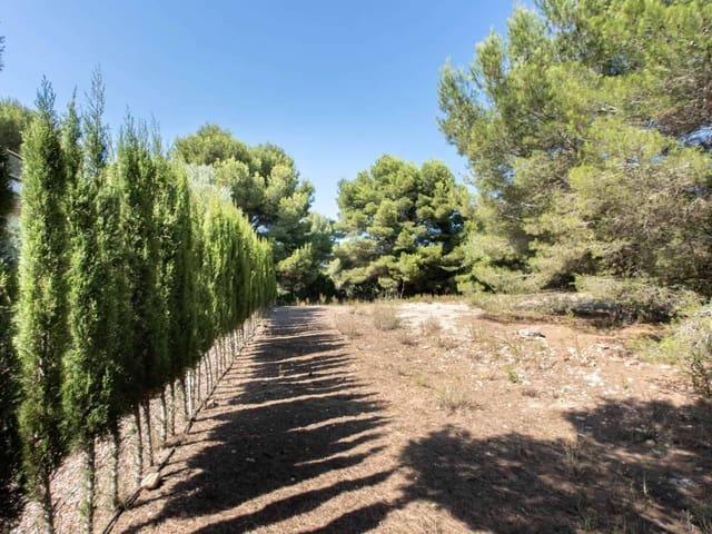 Terreno en venta en la Marina Alta, Valencia