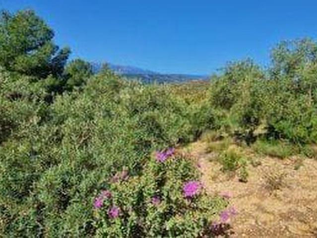 Terreno en venta en Jayena, Granada