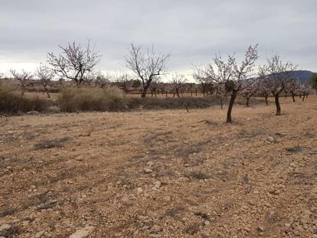 Terreno en venta en La Estacada, Altiplano