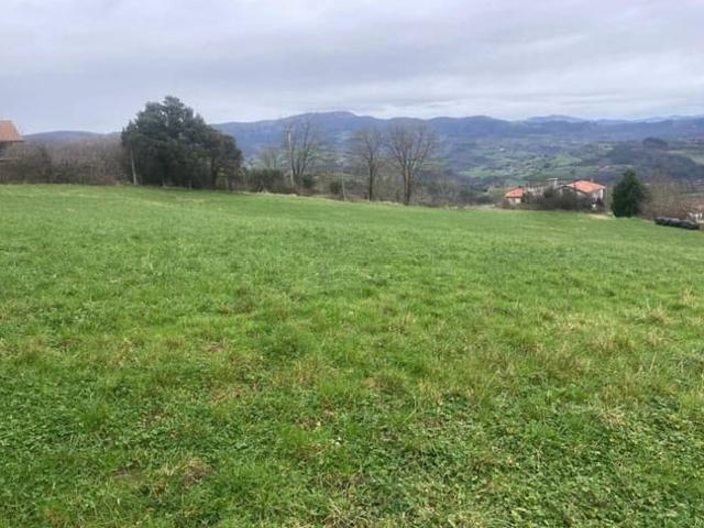 Terreno en venta en Concha, Valle De Carranza