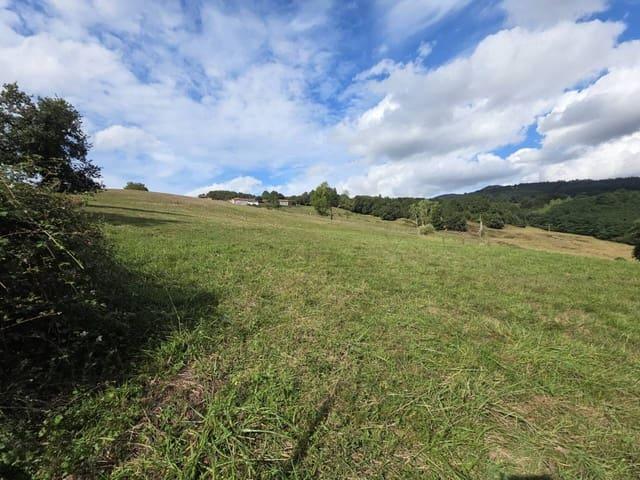 Terreno en venta en Concha, Valle De Carranza