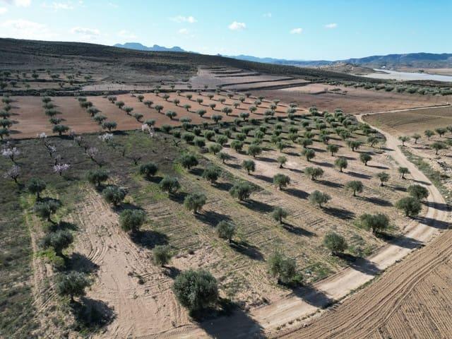 Terreno en venta en La Alquería, Altiplano