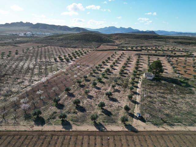 Terreno en venta en La Alquería, Altiplano