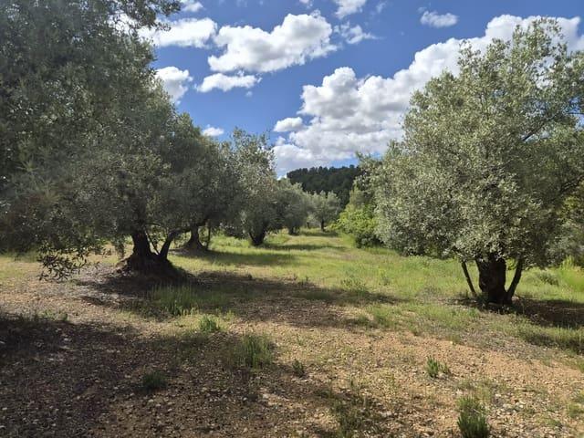 Terreno en venta en Matarraña / Matarranya, La Fresneda