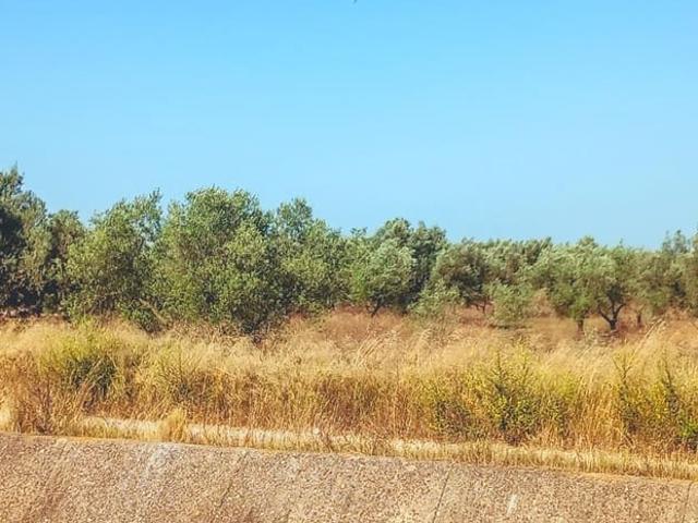 Terreno en venta en Montsià, Catalunya