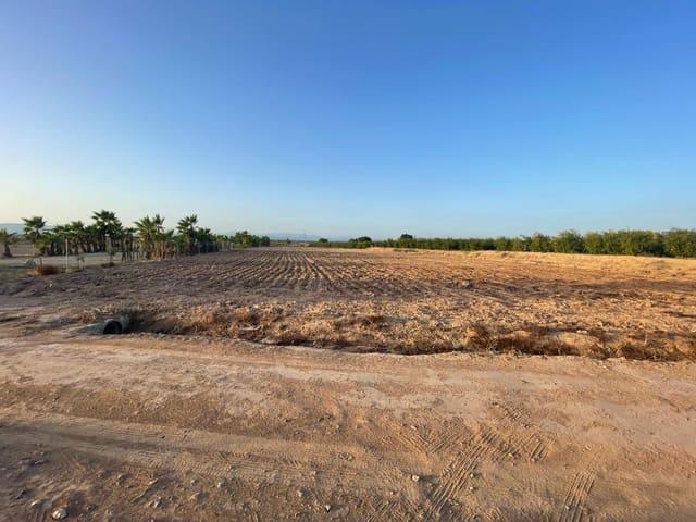 Terreno en venta en la Foia, el Baix Vinalopó