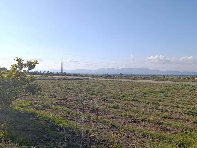Terreno en venta en la Marina, el Baix Vinalopó