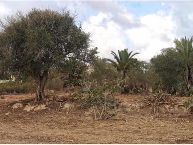 Terreno en venta en la Marina, el Baix Vinalopó