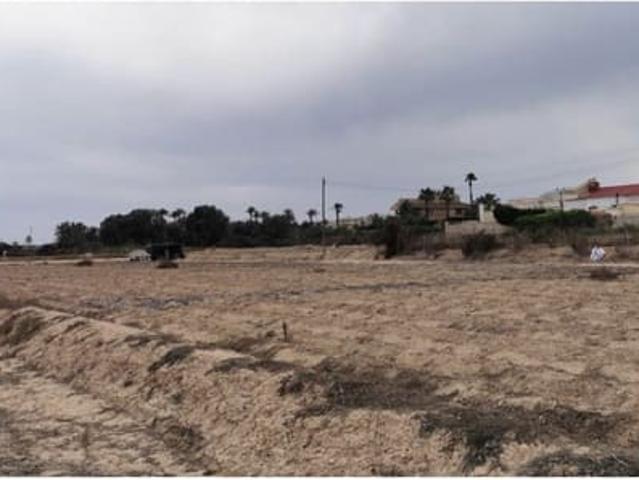 Terreno en venta en la Marina, el Baix Vinalopó