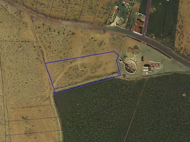 Terreno en venta en La Oliva, Fuerteventura