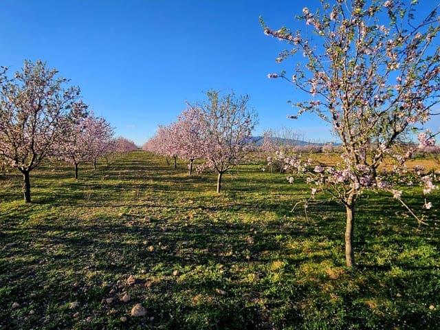 Terreno en venta en Las Palas, Fuente Álamo de Murcia