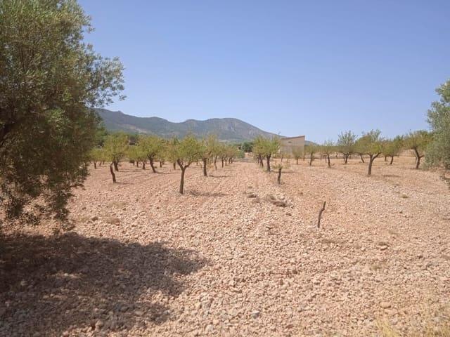 Terreno en venta en Cases de l'Ombria, el Vinalopó Mitjà / El Vinalopó Medio